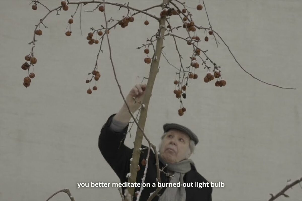 Viktor Pivovarov: Zahrady mnicha Rabinoviče